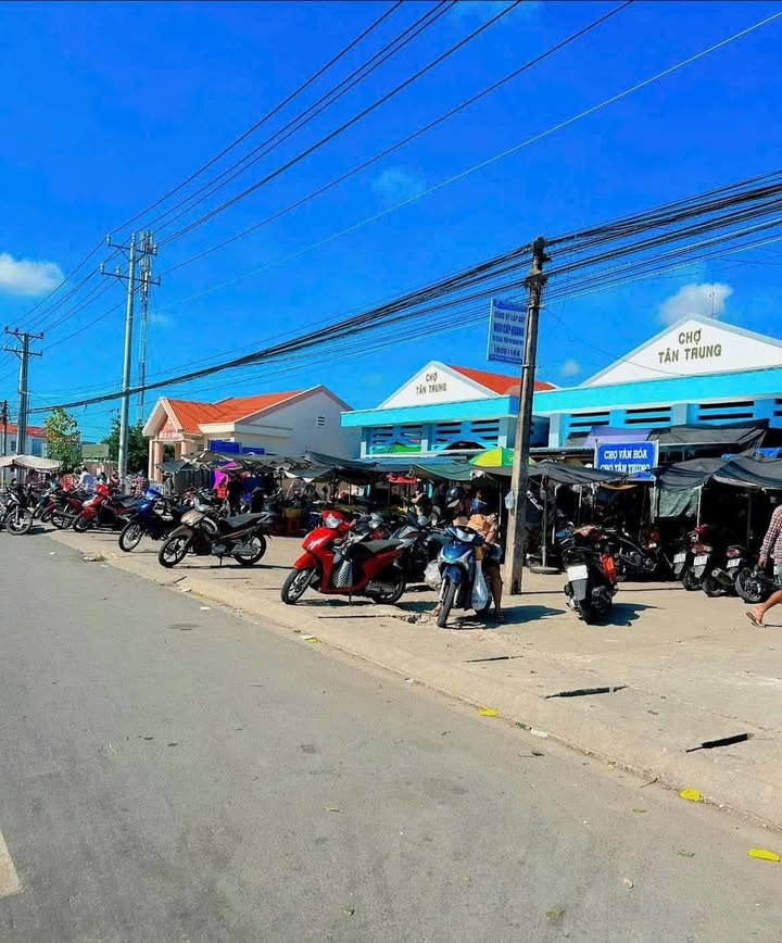 Đất nền Quốc lộ 50 Gò Công 280m² - Đầu tư sinh lời ngay!