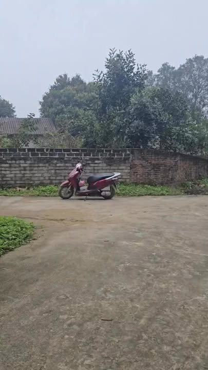 Đất Nền Thanh Ba, Phú Thọ 135m² - Sổ Đỏ Sẵn, Giá 3xx Triệu