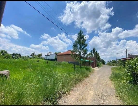 Bán Gấp Đất Biệt Thự 290m² Lộc An, Lâm Đồng - Giá 780 Triệu