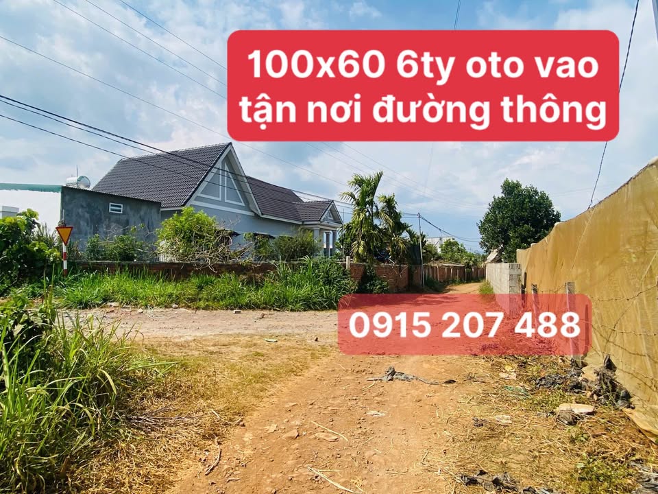 Đất nền Di Linh 6000m² - Sổ đỏ chính chủ, tiềm năng sinh lời cao