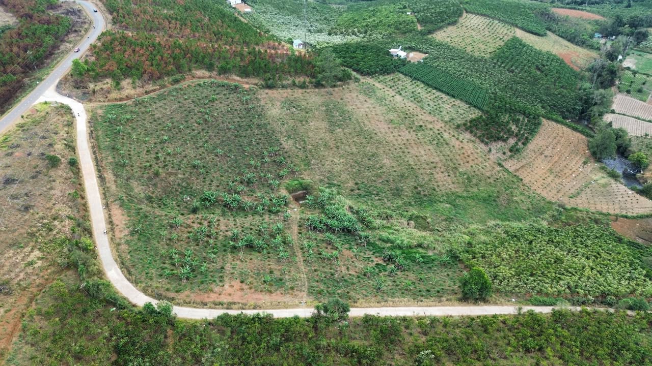 Bán Gấp Đất Vàng Trung Tâm Bảo Lộc 12.000m² - Sổ Đỏ Riêng, MT Tỉnh Lộ 725