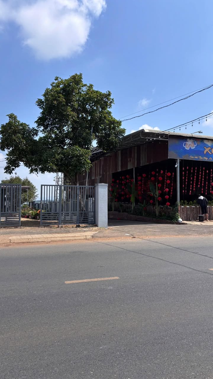 Đất Tân Hội DT724 362m² 1.65 tỷ - Sổ đỏ chính chủ