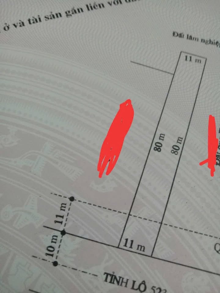 Đất Nền Ngọc Trạo, Thanh Hóa 880m² - Giá Thỏa Thuận, Sẵn Sổ Đỏ