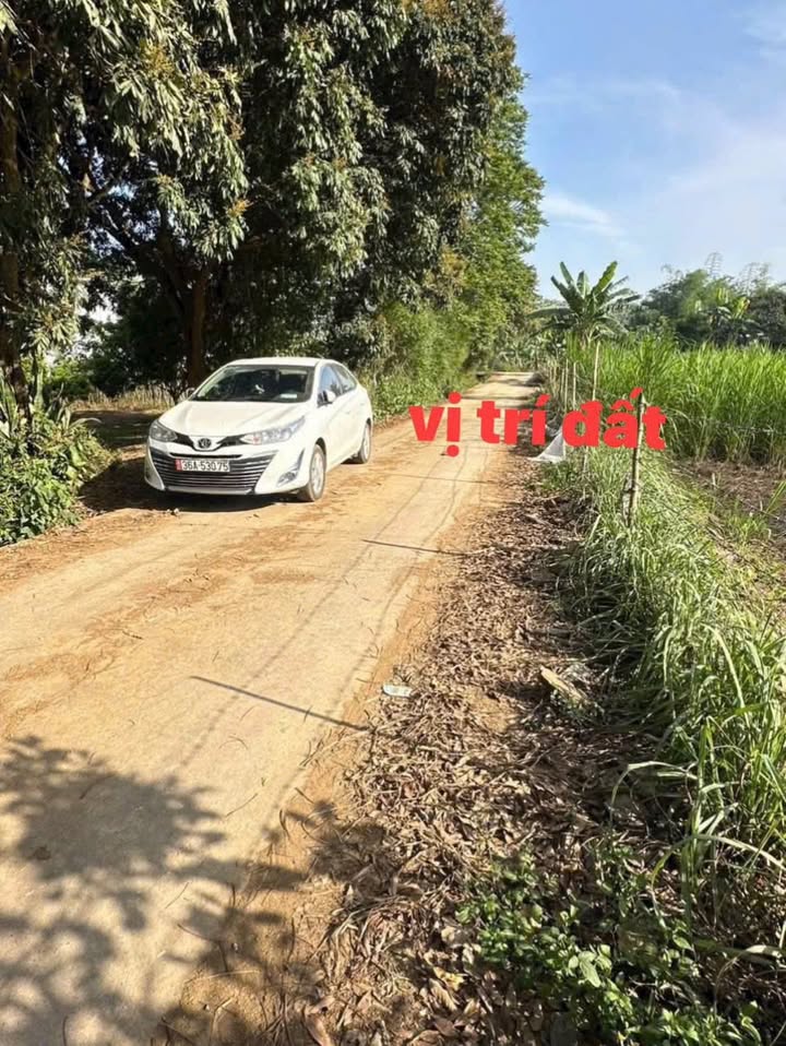 Đất thổ cư 148m² mặt tiền đường Liên thôn, Thạch Quảng giá tốt