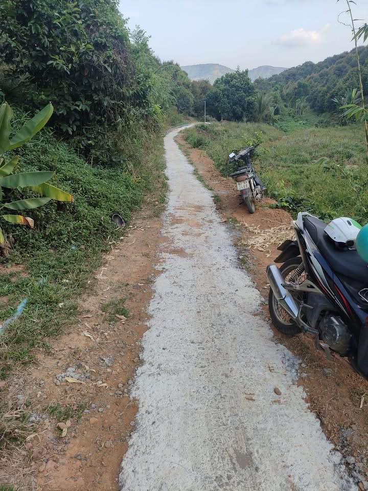 Bán Đất Vườn 10.000m² Đồng Nai - Sổ Đỏ CLN, Giá 2.1 Tỷ