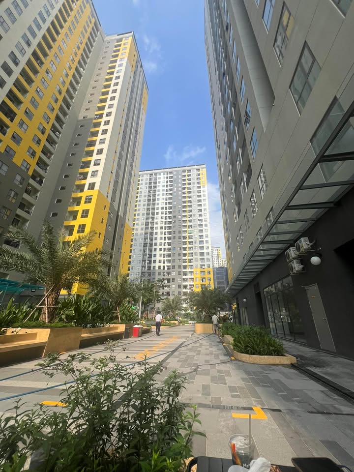 Căn hộ Tháp Emerald Tân Phú 2PN 6.5 triệu - Căn góc View đẹp!