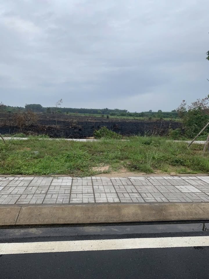 Đất nền Long Thọ Nhơn Trạch 6800m² - Tiềm năng tăng giá vượt trội!