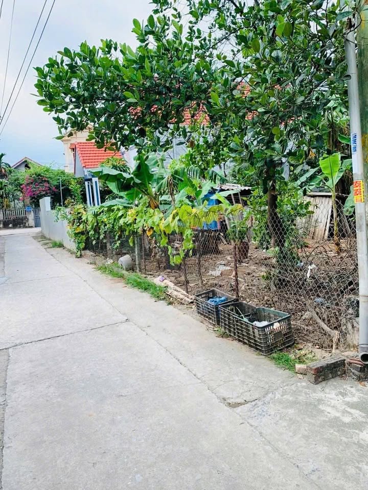 Đất nền Đông Ninh Khoái Châu 162.2m² - Sổ đỏ chính chủ, đầu tư sinh lời!