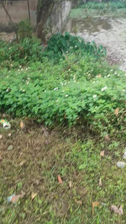 Đất Nền Nga An, Nga Sơn 100m² - Tiềm năng tăng giá vượt trội!