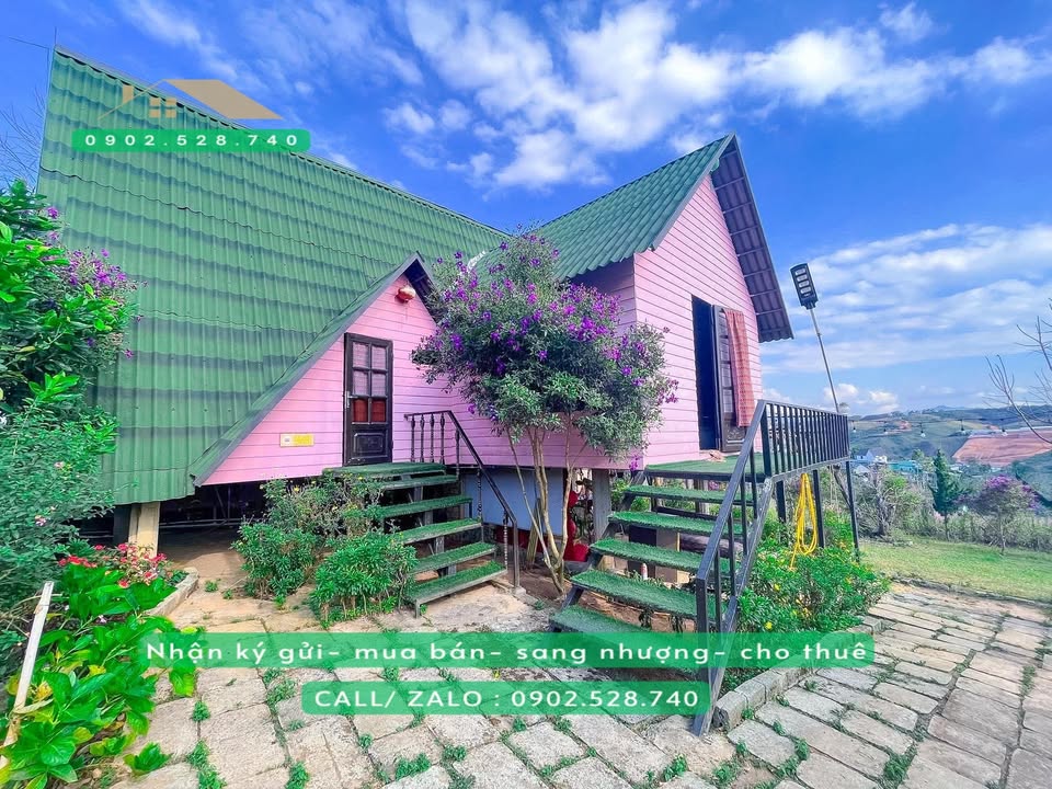 Homestay View Săn Mây 1000m² Lạc Dương, Lâm Đồng - Giá 4.3 Tỷ