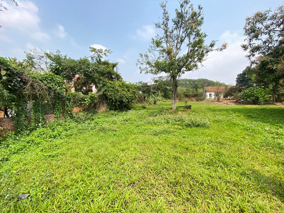 Townhouse Thanh Lâm Lục Nam 600m² 1 tỷ - Đầu tư sinh lời