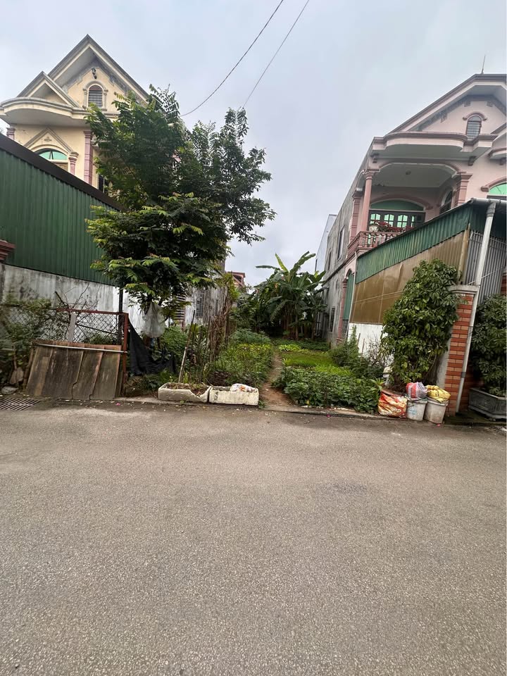 Đất nền TP Vinh 151m² Đường Hải Thượng Lãn Ông - Ô tô vào, nở hậu!