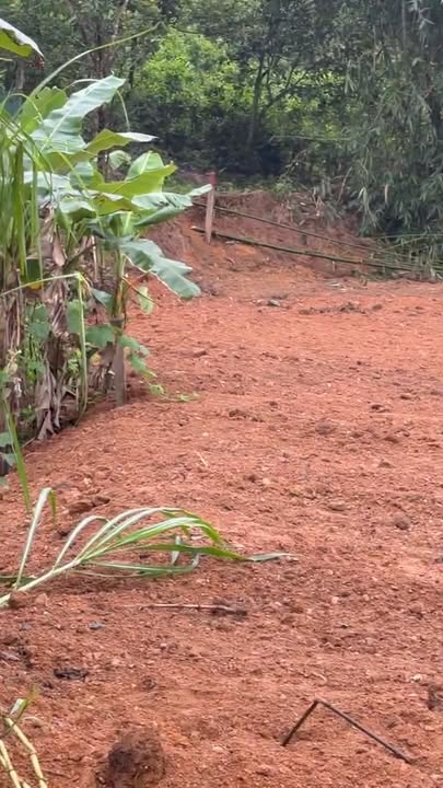 Đất nền Quốc lộ 8C, Hương Sơn 300m² - Tiềm năng tăng giá!