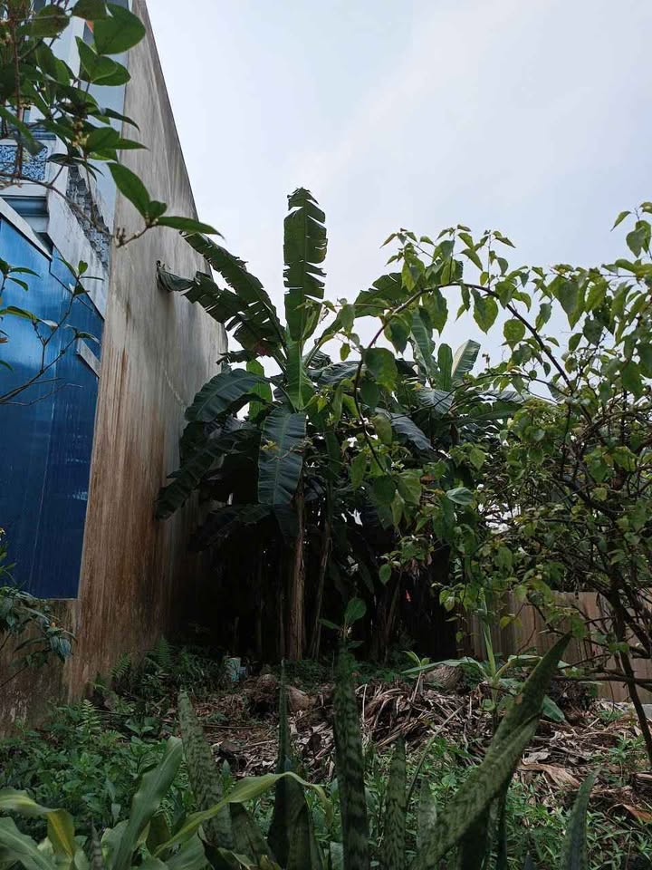 Đất nền Yên Bái 90m² - Hướng Đông Nam, Nhỉnh 2 tỷ - Sẵn sàng xây nhà