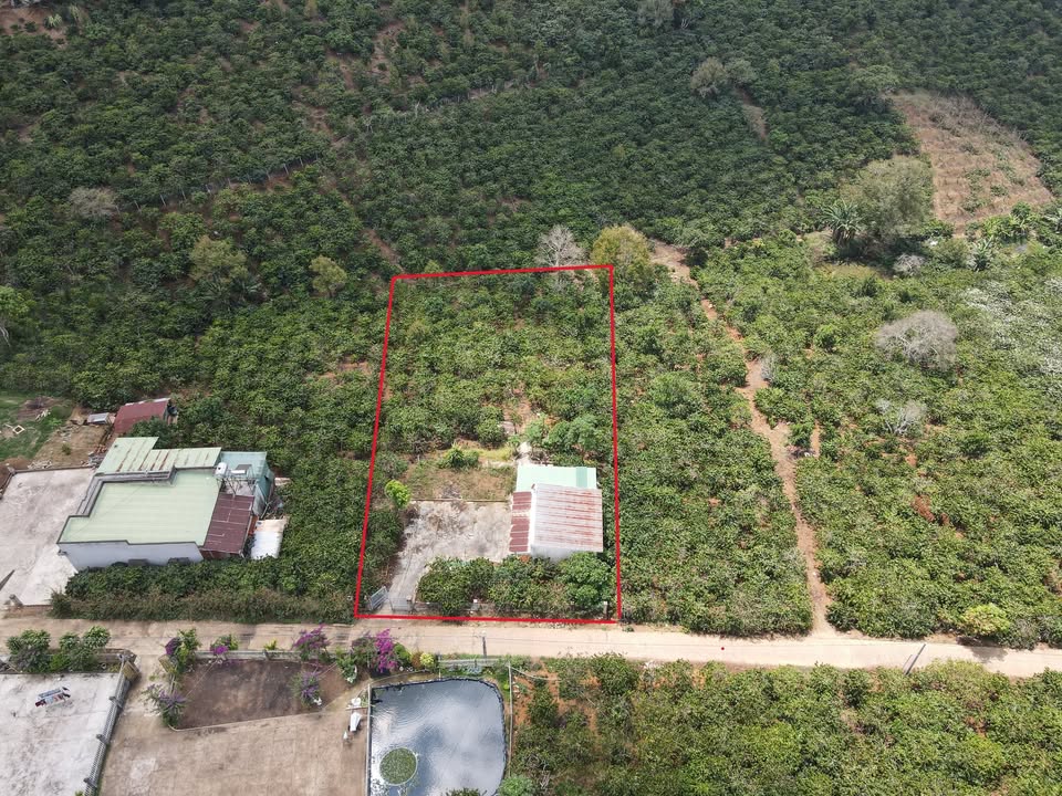 Đất Vườn 2 Sào Xã Gung Ré, Di Linh - Có Nhà, Cafe Thu Mạnh, Giá 1.9 Tỷ