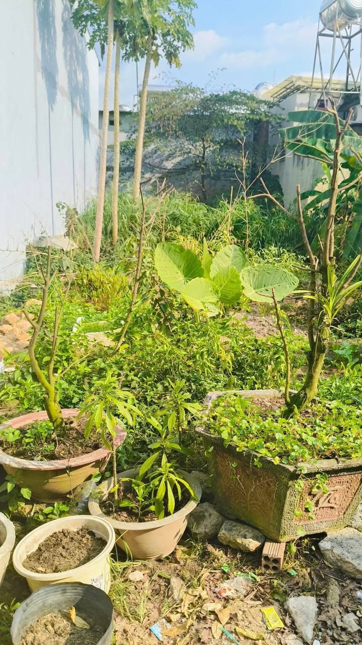 Đất nền Tam Phước 117m² giá 900 triệu - Sổ đỏ chính chủ!