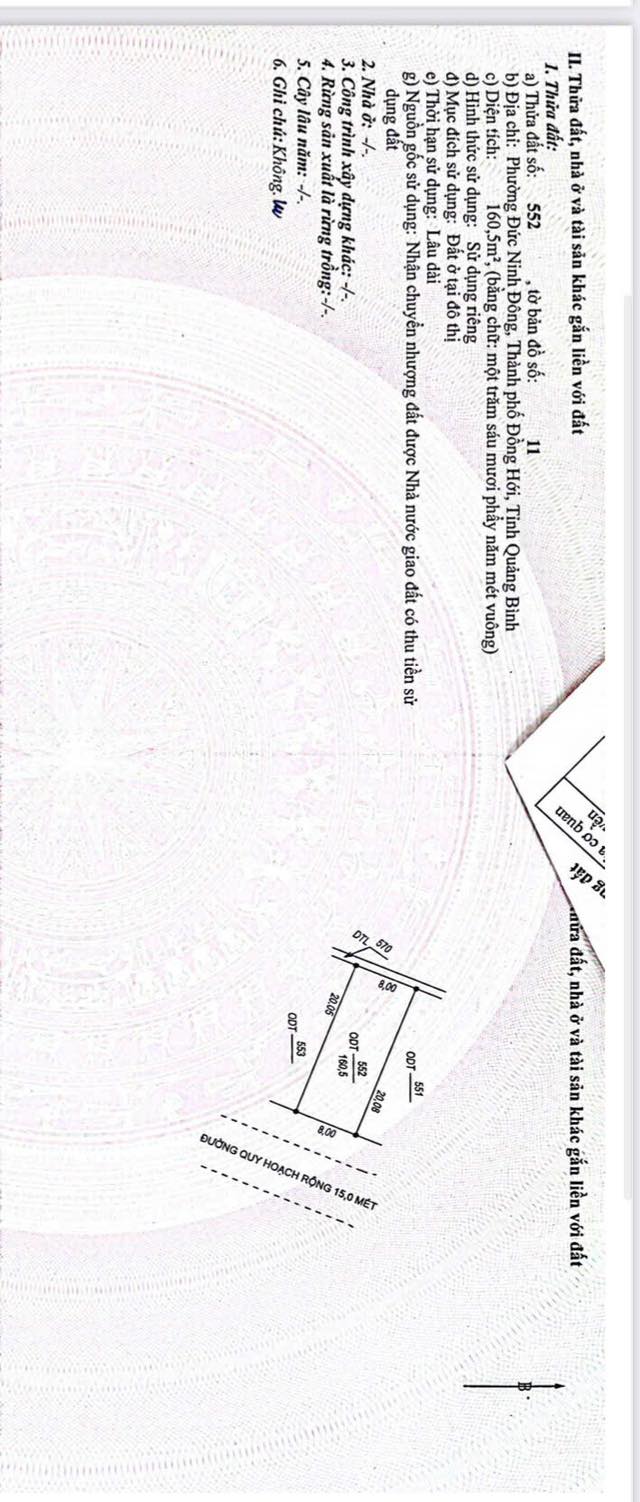 Nhà Mặt Tiền Bùi Sỹ Tiêm Đồng Hới 160m² - Kinh Doanh/Đầu Tư Hời!