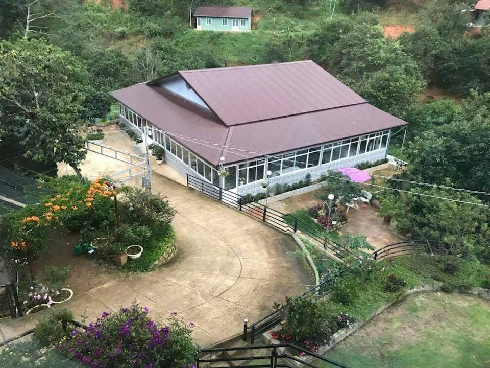 Homestay Khe Sanh P10 Đà Lạt 20 triệu/tháng - Sẵn sàng kinh doanh!