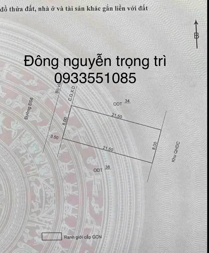 Đất Vàng Quy Nhơn - Mặt Tiền Lê Phụ Trần 172m² - Sổ Đỏ Sẵn Sàng