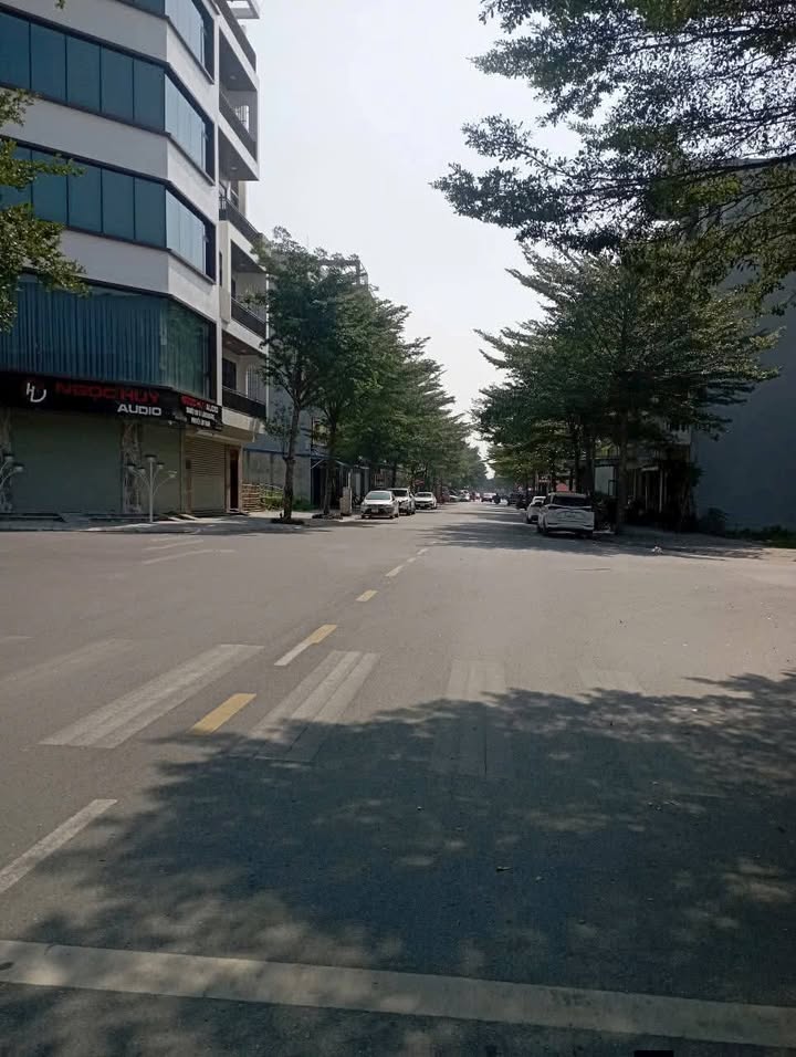 Đất nền Đô thị Dệt Nam Định 77.5m² - Sổ đỏ chính chủ, kinh doanh đắc địa!