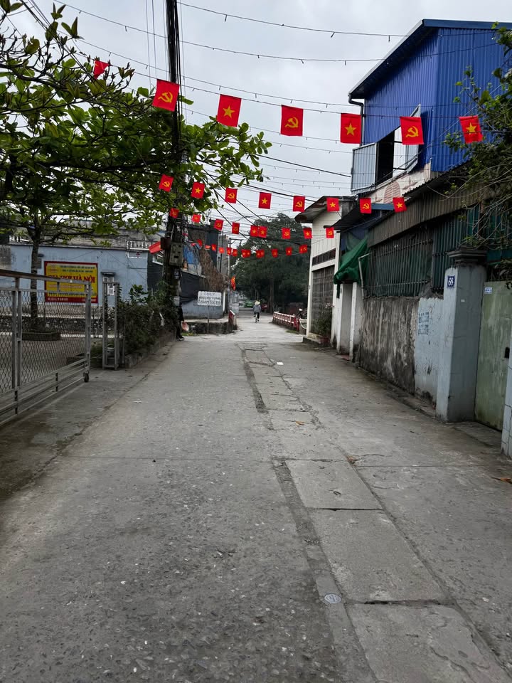 Bán Đất Mặt Đường Thanh Bình, Nam Định - 59m², Hướng Bắc, Gần Viện 700 Giường