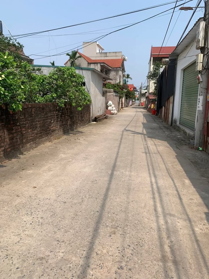 Đất nền Sài Sơn, Quốc Oai 98.9m² - Tiềm năng tăng giá vượt trội!