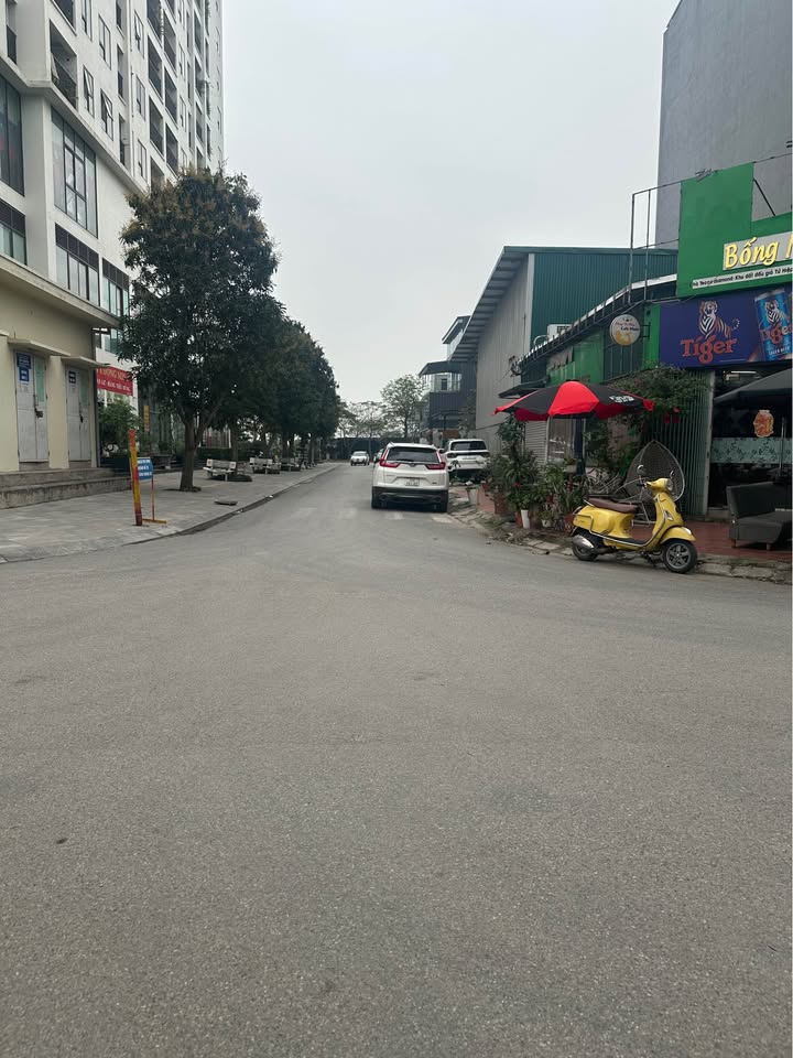 Đất Nền Khu Đấu Giá Tứ Hiệp 84m² - Sổ Đỏ Sẵn Sàng Giao Dịch