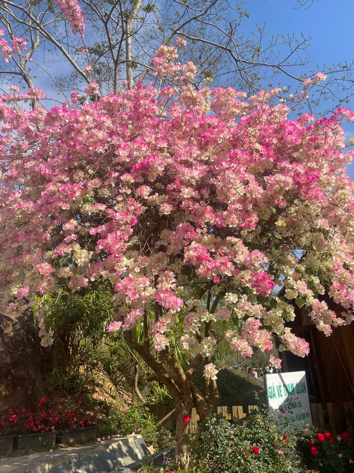 Đất Nền Hương Sơn, Phú Bình 80m² - Sổ Đỏ Chính Chủ Giá Tốt!