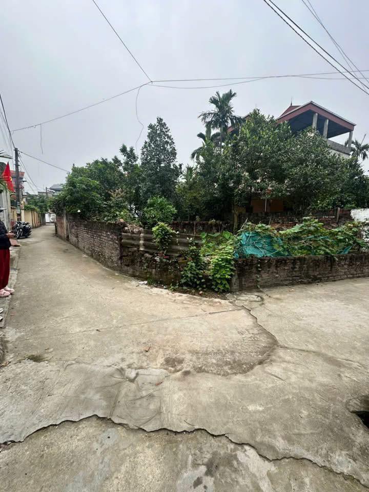 Đất nền Hưng Giáo, Tam Hưng 45m² - Tiềm năng tăng giá vượt trội!