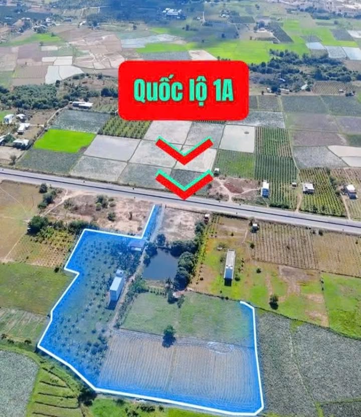 Đất vườn QL1A Hàm Thuận Bắc 2.18ha - Đầu tư dài hạn 14 tỷ