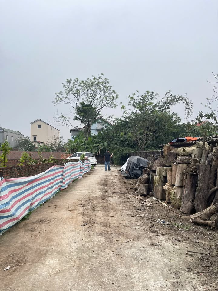 Đất nền 50m² - Giá F0 tại Khu Hồng Hải, Việt Trì - Đầu tư sinh lời!