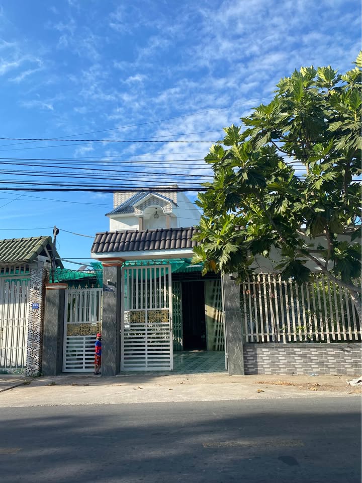 Mặt Tiền Kinh Doanh Đường 87C Tân Mỹ Chánh, Mỹ Tho - 342m² Giá 7 Triệu