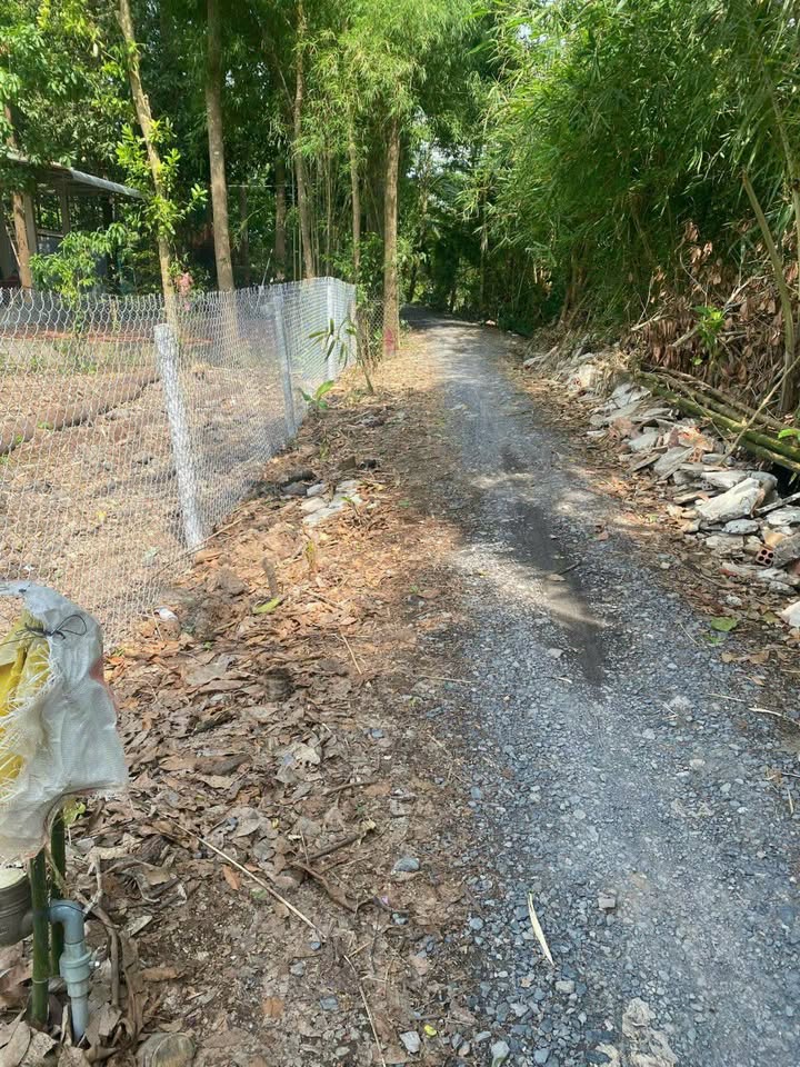 Đất Thổ Cư Sổ Đỏ Lai Vung 165m² - Giá Chỉ 390 Triệu