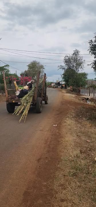 Đất nền Huyện Tuy An 590m² - Tiềm năng tăng giá vượt trội!