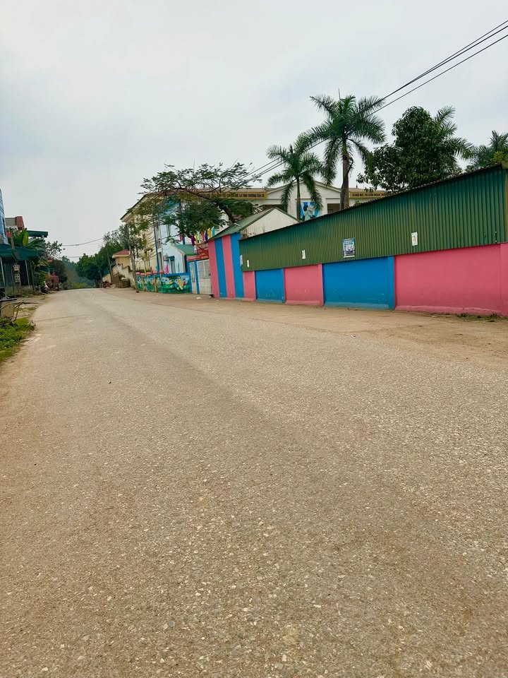 Bán Đất Vàng 300m² An Đạo, Phù Ninh - Kinh Doanh/Ở Đều Đỉnh