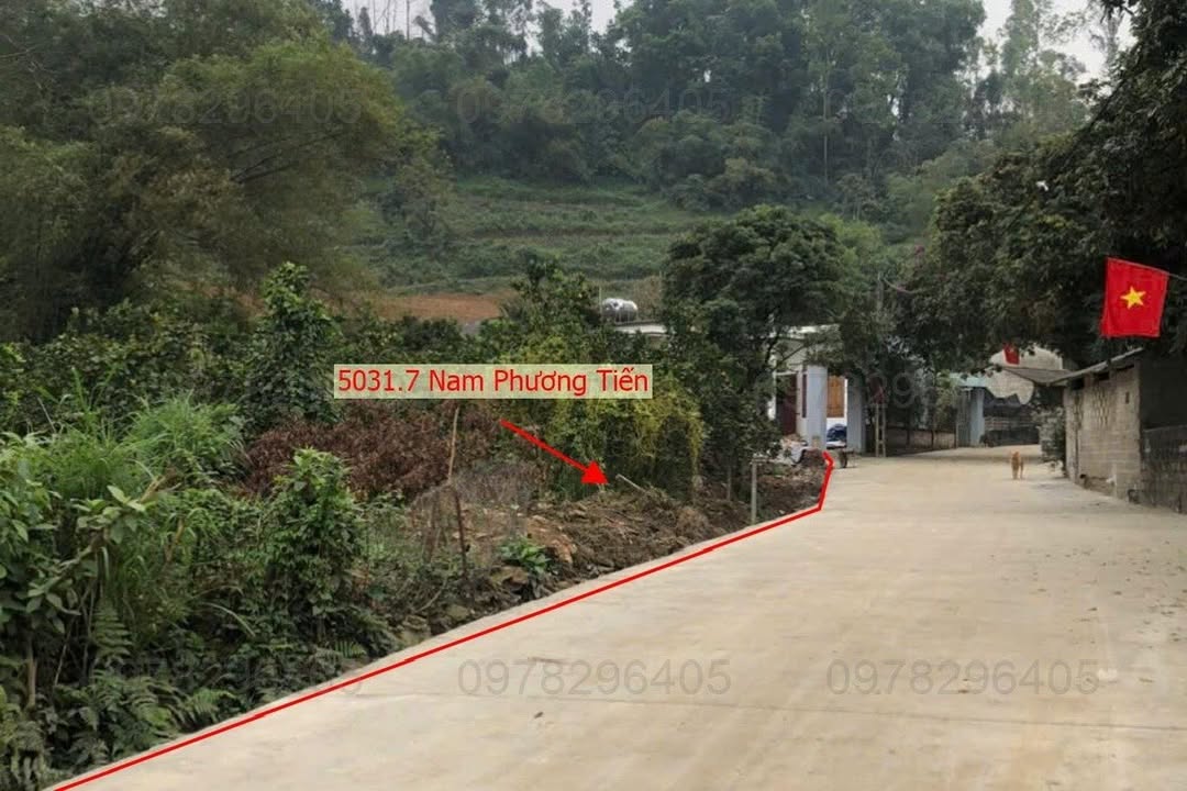 Bán Đất Vàng 5031m² Chương Mỹ - Lô Góc 2 Mặt Thoáng, Sát Trục Kinh Doanh