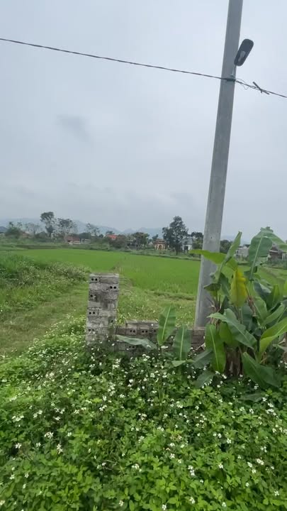 Đất nền Quỳnh Tam, Quỳnh Lưu 182m² - Tiềm năng tăng giá vượt trội!