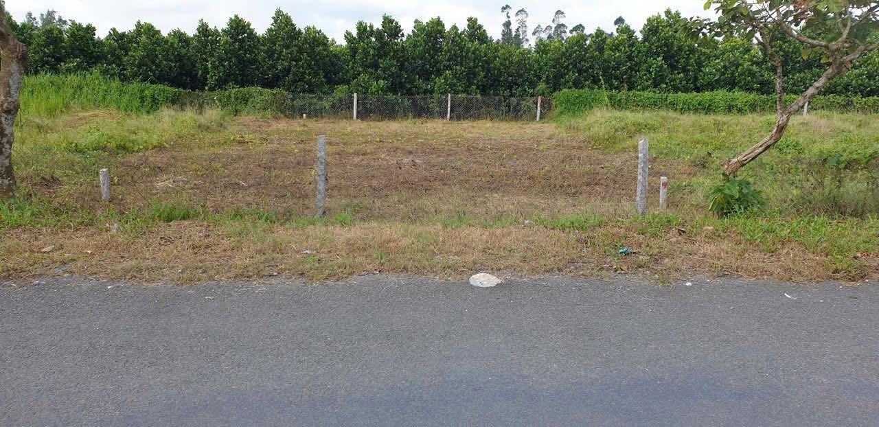 Đất Nền Lấp Vò, Đồng Tháp - Mặt Tiền ĐT 852B, 164m², Hướng Đông