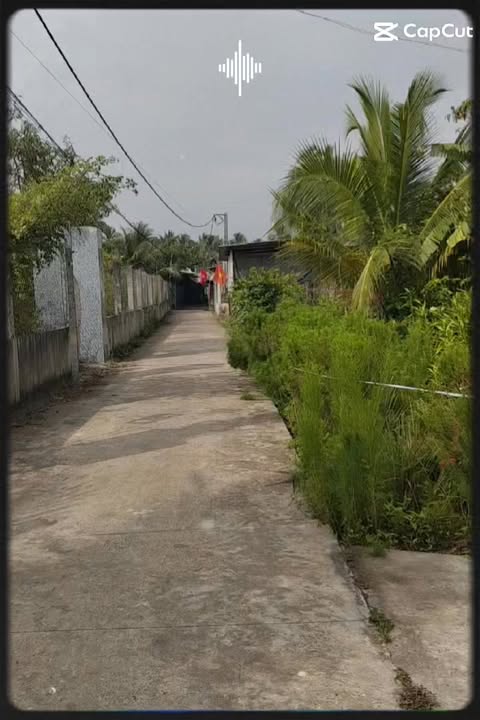 Đất Nền 2 Mặt Tiền Thạnh Phú, Bến Tre - 100m² Thổ Cư, Giá Tốt