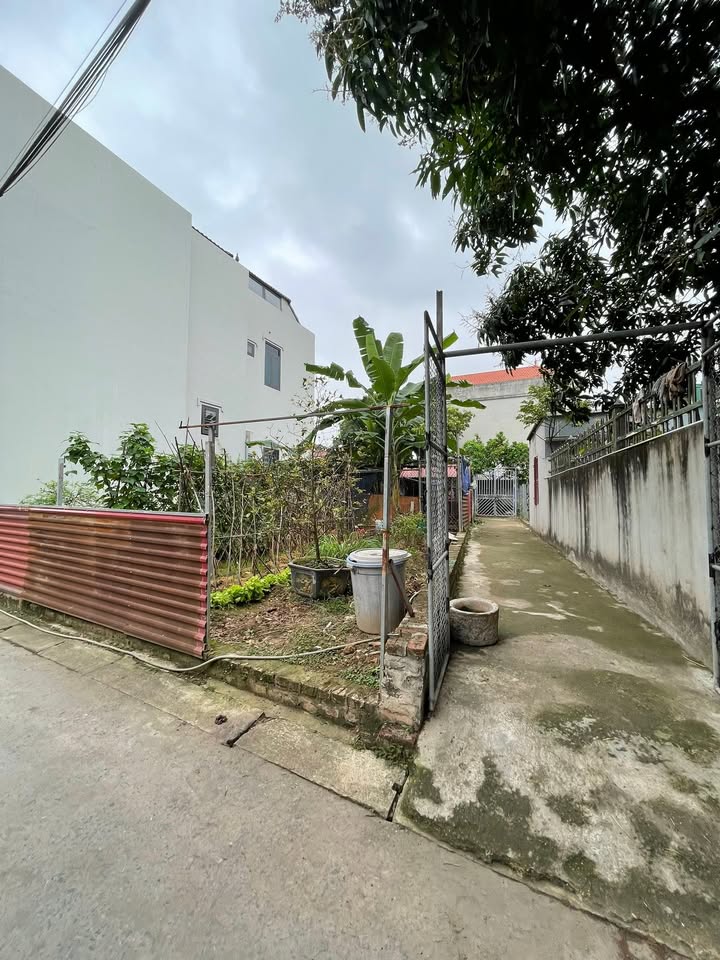 Đất Lô Góc Lưu Xá, Thường Tín - 80m², MT 6.7m, Sổ Đỏ Chính Chủ