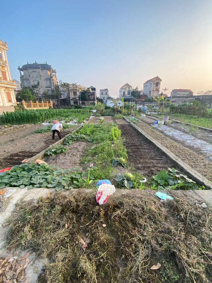 Đất Đấu Giá Phú Xuyên 100m² Sổ Đỏ Vuông Vắn - Giá Thỏa Thuận