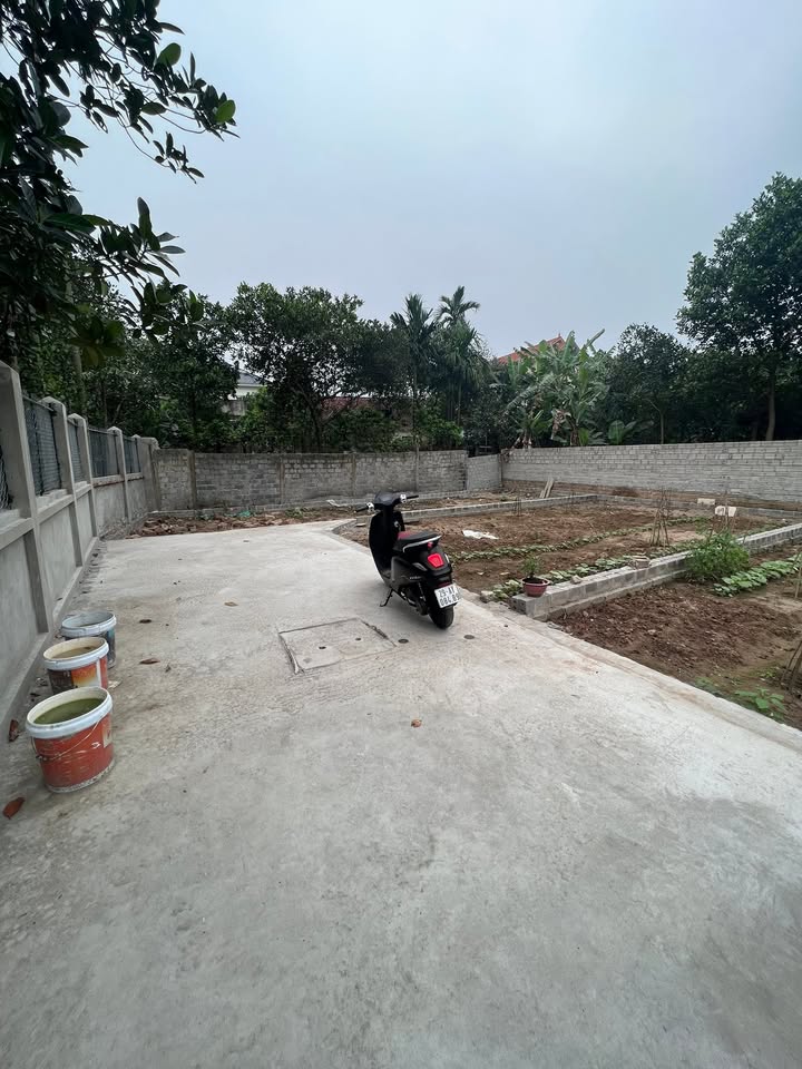 Bán đất Tự Nhiên, Thường Tín 80m² - Oto vào tận đất, giá hơn 3 tỷ