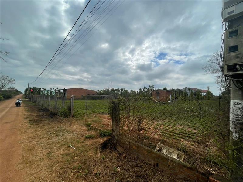 Đất Vàng Ea Kmut, Đắk Lắk 2474.5m² - Đầu Tư Lâu Dài, Đường Ô Tô