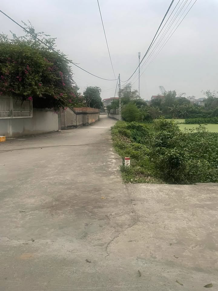 Đất nền Thôn Cầu, Việt Yên 250m² - Sổ đỏ chính chủ, đường to ô tô!