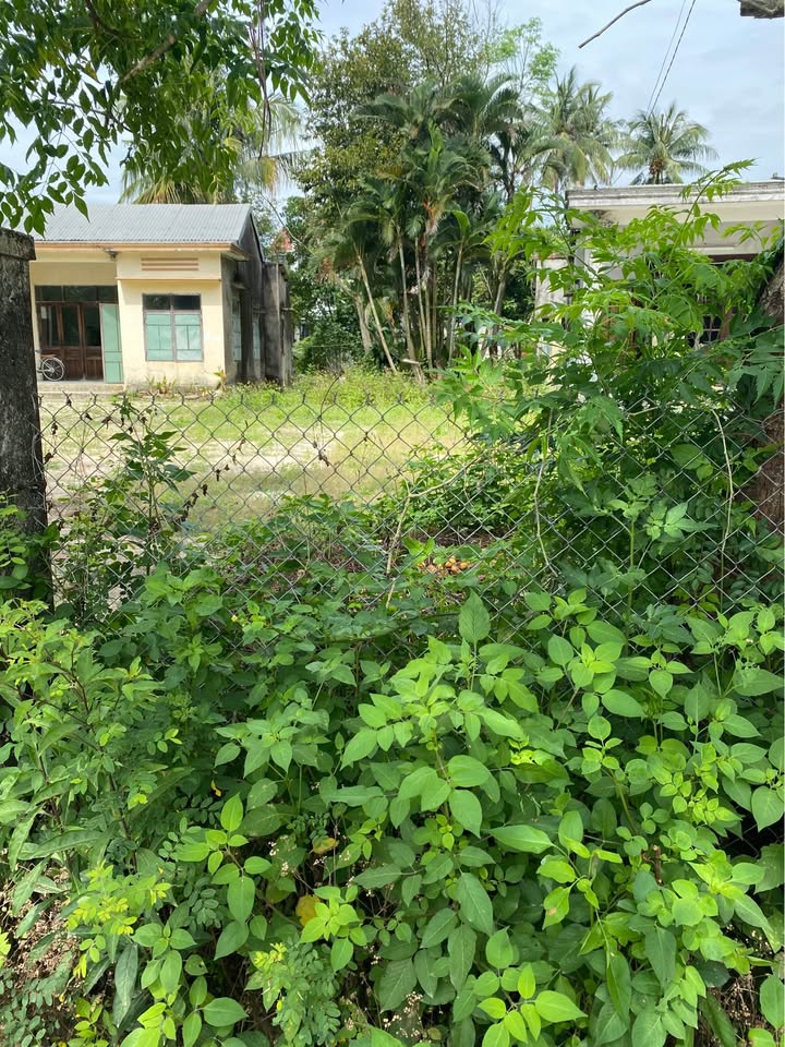 Đất Cẩm Thanh, Hội An 148m² Hướng Đông - Sổ Đỏ Sẵn Sàng