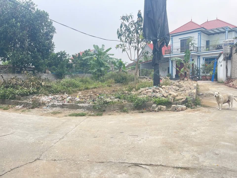 Đất nền Đoan Bái, Hiệp Hòa 137m² - Tiềm năng tăng giá vượt trội!