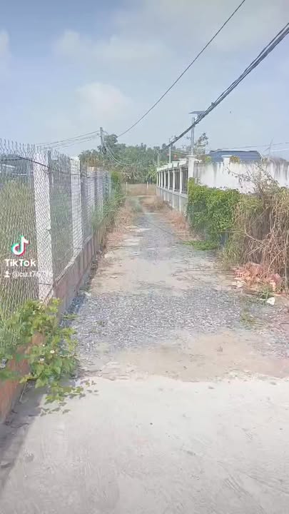 Nhà Vườn 288m² Phước Lý, Cần Giuộc - Sổ Hồng, Xe Hơi Tới Nhà