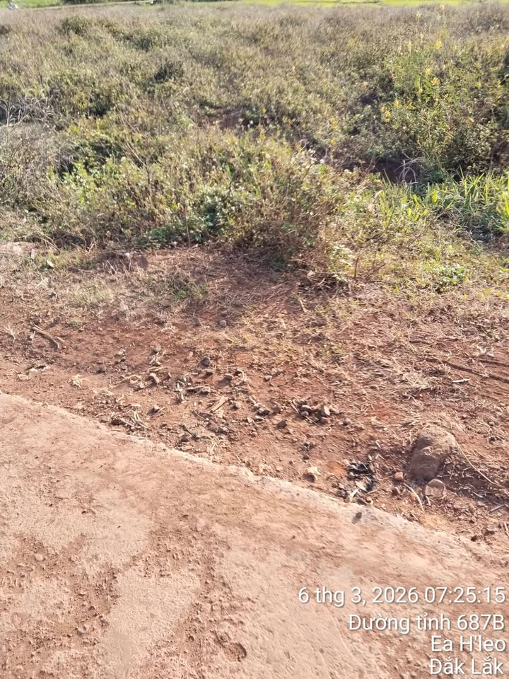 Đất nền Ea Ral, Ea Súp 880m² - Tiềm năng tăng giá vượt trội!