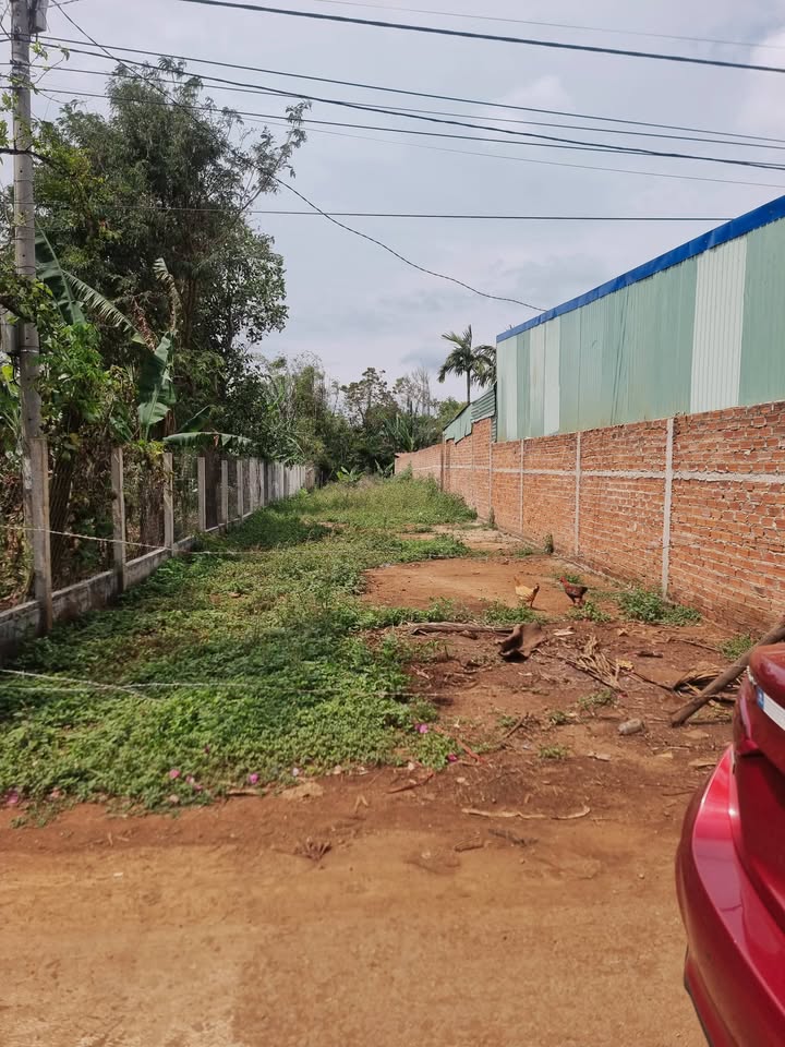 Đất nền Cuôr Đăng, Đắk Lắk 318m² - Tiềm năng tăng giá vượt trội!