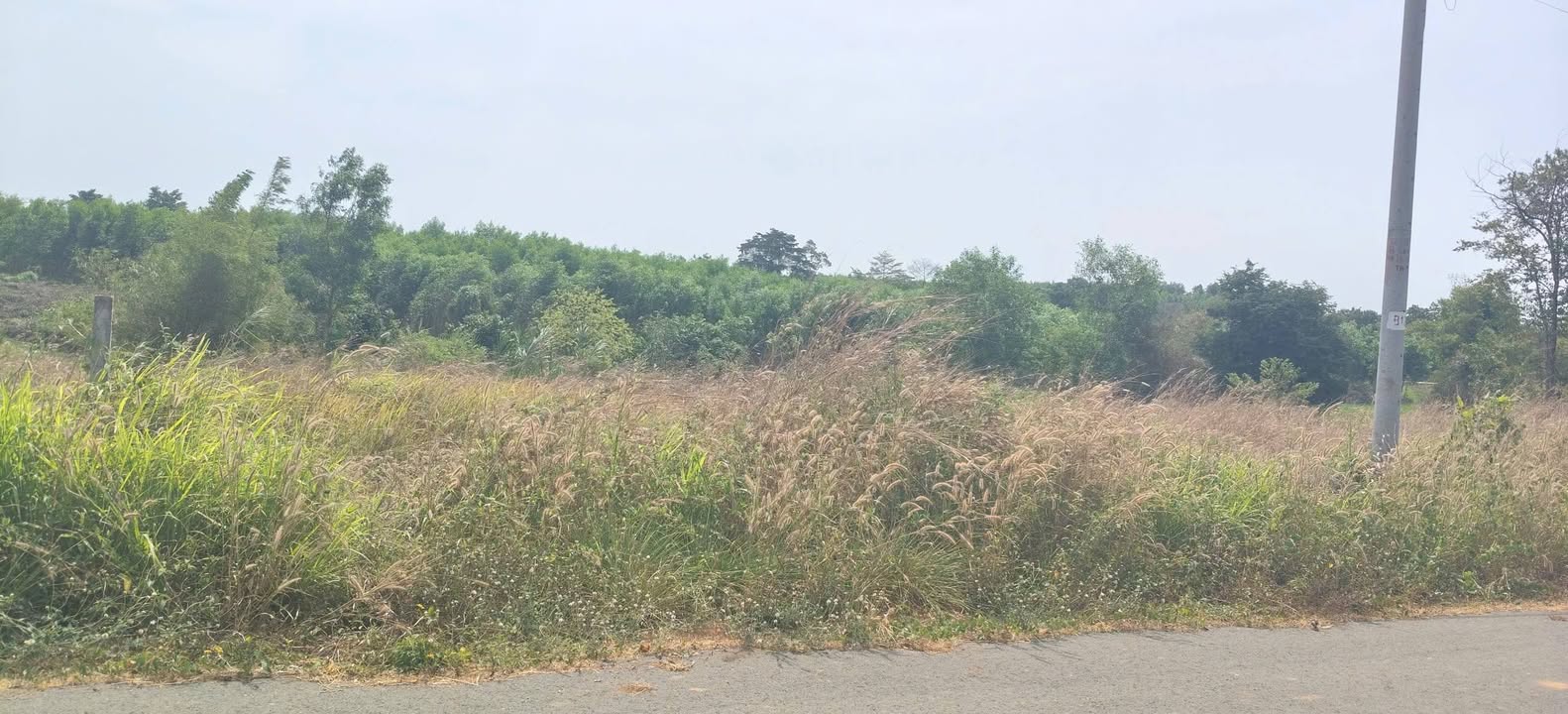 Đất Nền Hồ Tràm 1000m² Mặt Tiền Nhựa Giá 1.45 Tỷ - Đầu Tư Sinh Lời